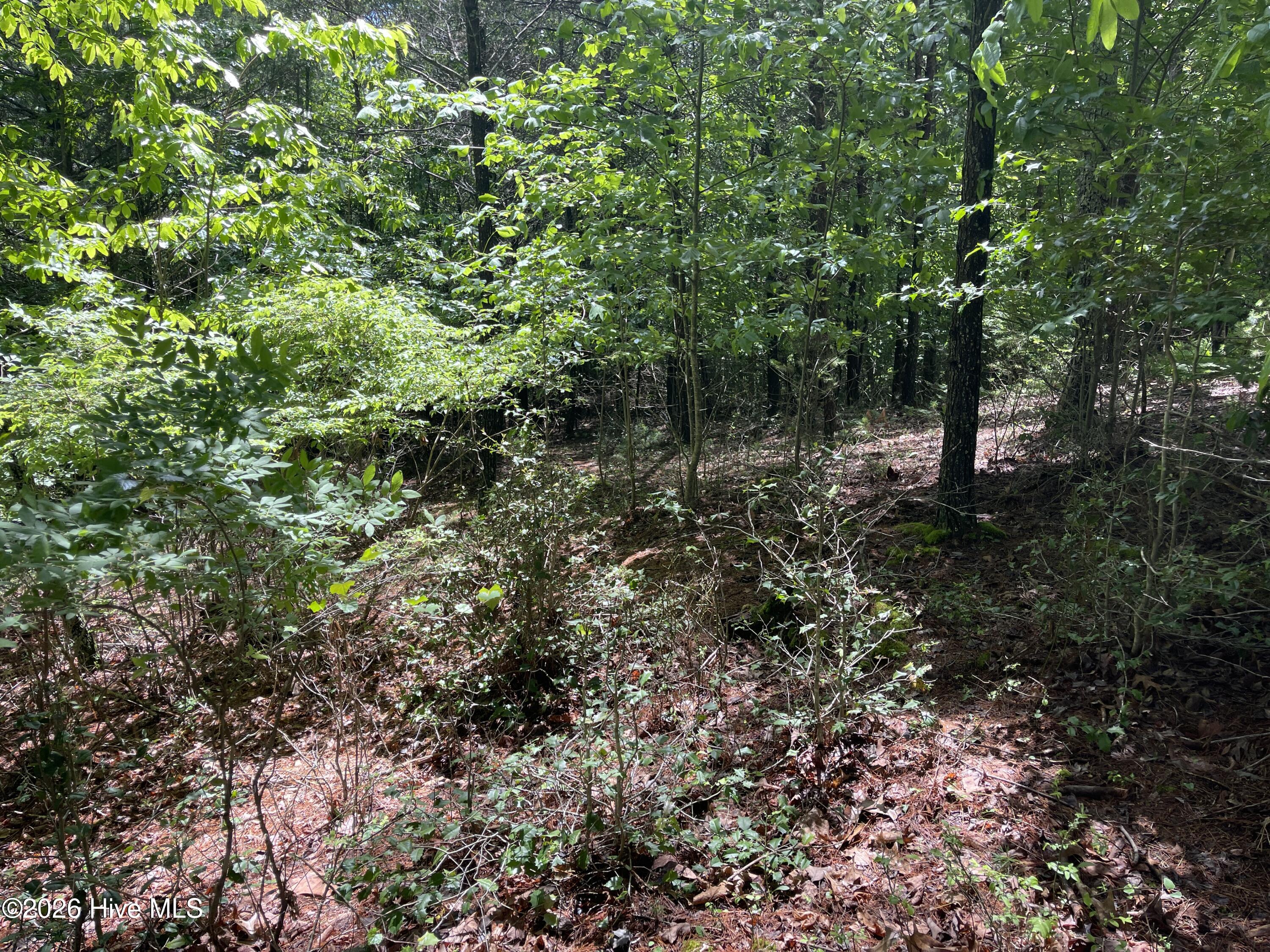 0 River Mountain Road Murphy, NC 28906 - Photo 4 of 6