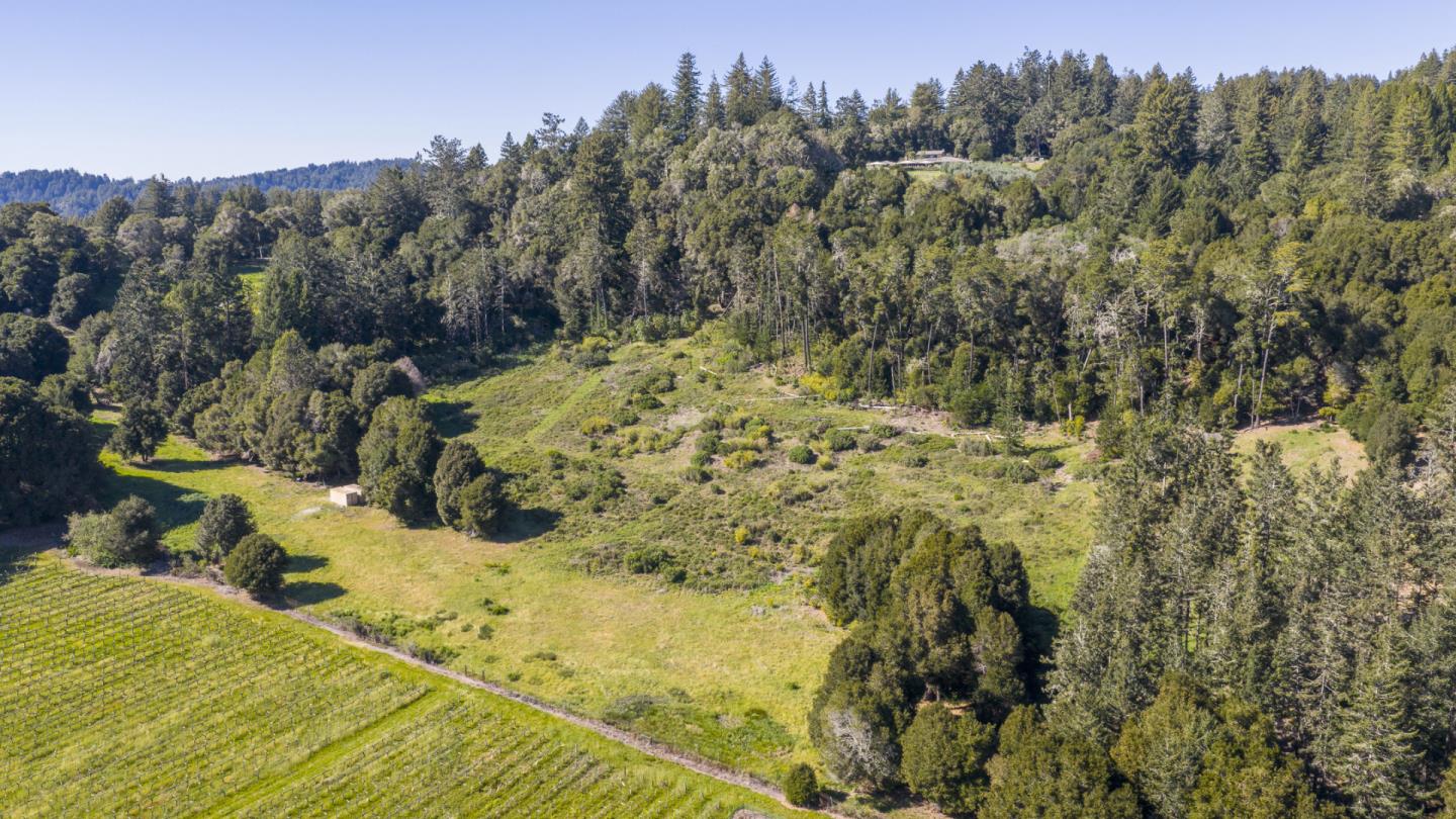 1073 Larsen Road Aptos, CA 95003 - Photo 17 of 18 a view of a yard with mountain view