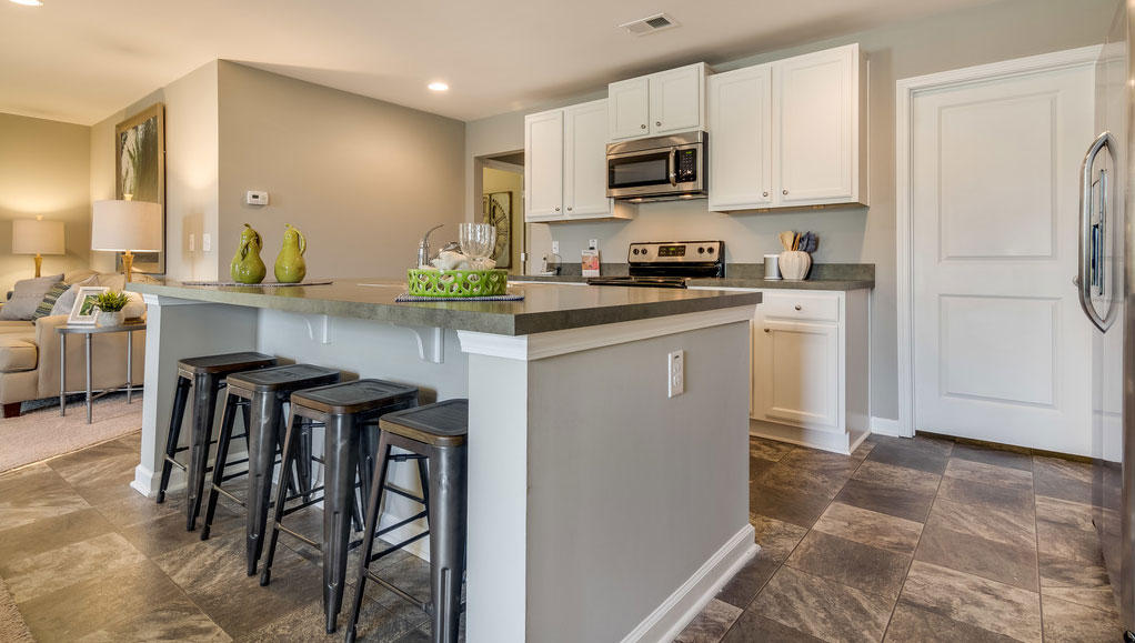 206 Goshen Road Moncks Corner, SC 29461 - Photo 11 of 38 Robie-A_2362_CR-Hamlets-Lot-1-NEW_Kitche