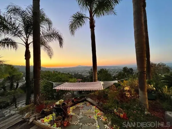 a view of a backyard with couches and palm trees