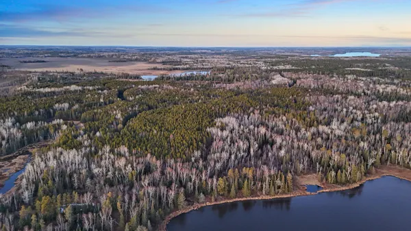 $219,000 | Tbd Tbd Arthur Lake, Babbitt, MN 55706