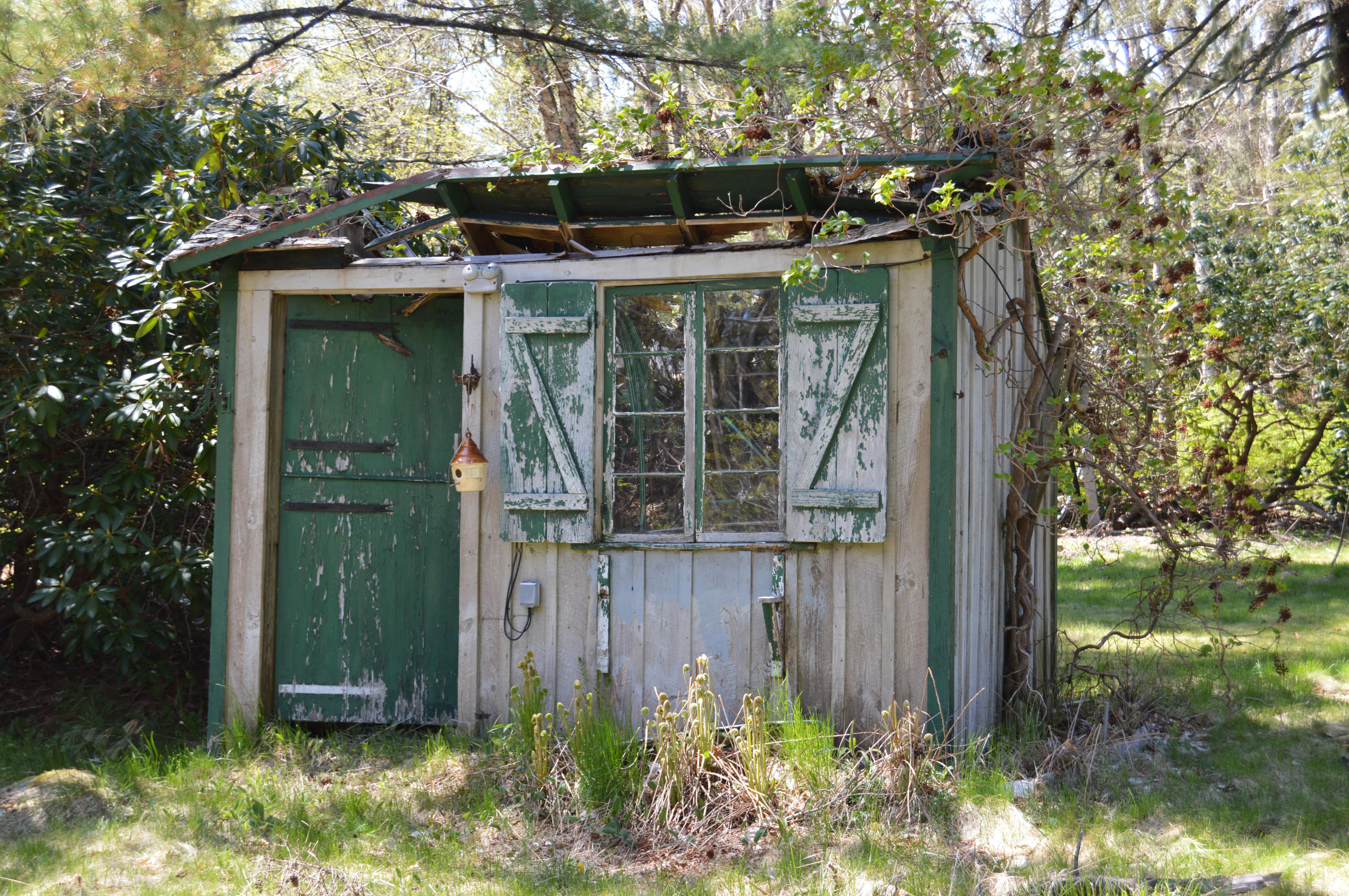 56 Mosswood Road Cranberry Isles, ME 04646 - Photo 34 of 40 Mosswoodshed