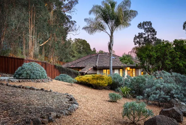 a view of a house with a small yard and a large tree