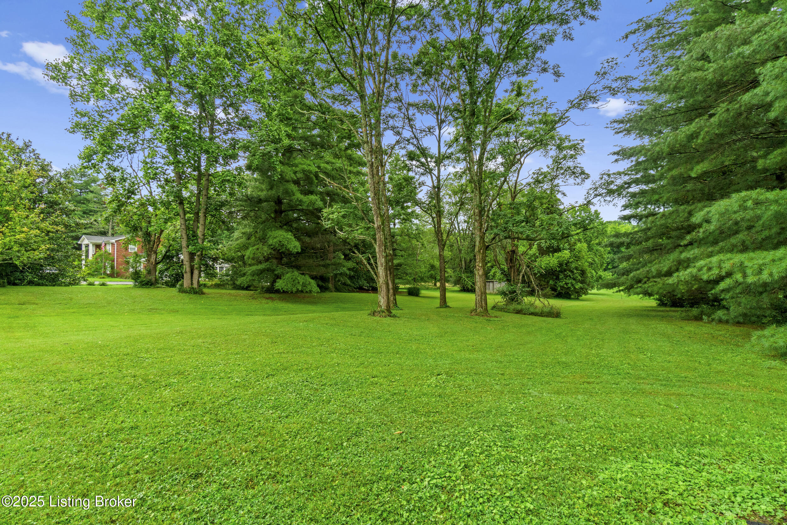 4603 Evergreen Road Crestwood, KY 40014 - Photo 4 of 24 dsc06804