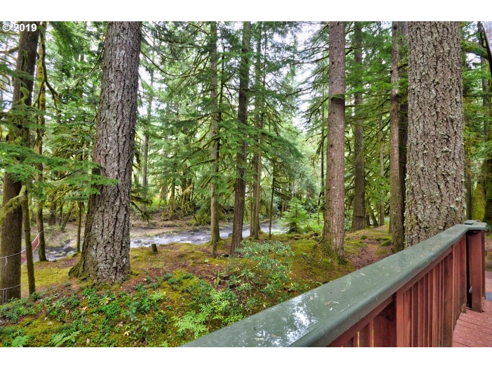 75191 East E Road Rhododendron, OR 97049 - Photo 29 of 32 a view of outdoor space and yard