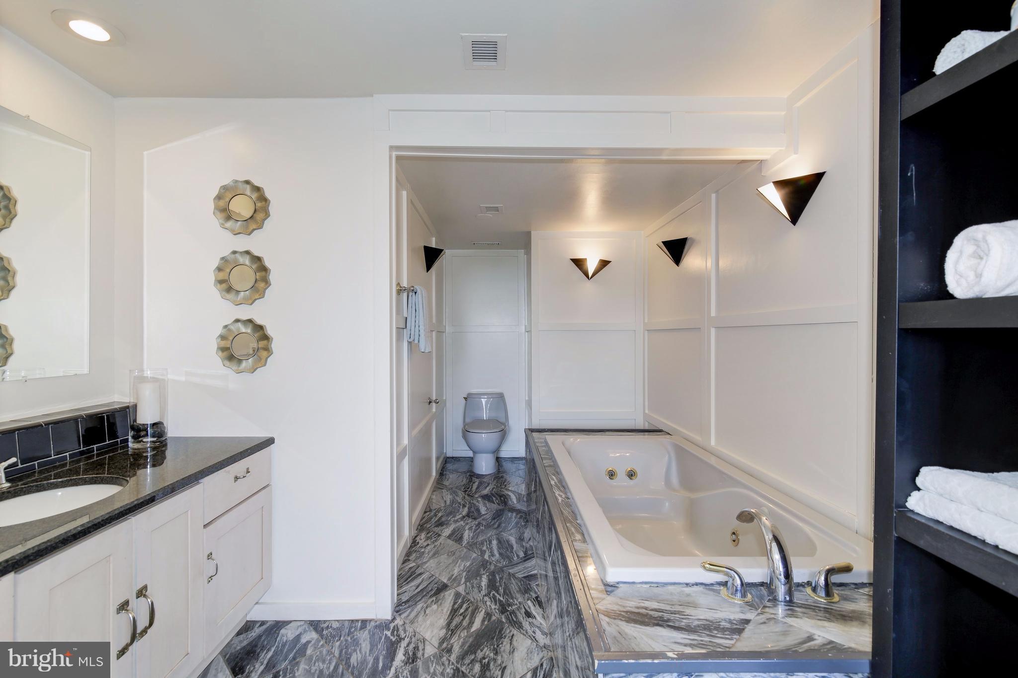 5501 Seminary Road, Unit 1004S Falls Church, VA 22041 - Photo 19 of 29 Master Bathroom