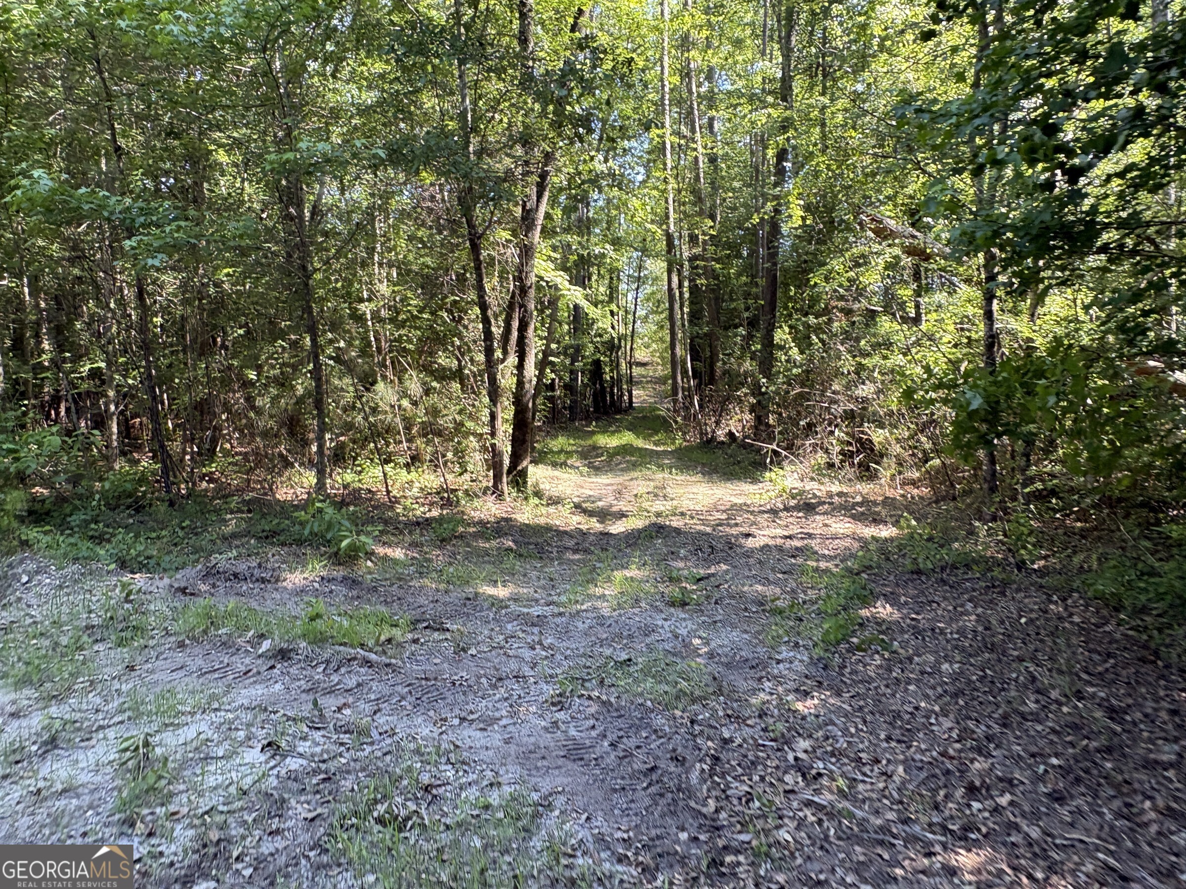 L9 North Indian Trail Road Sandersville, GA 31082 - Photo 7 of 19