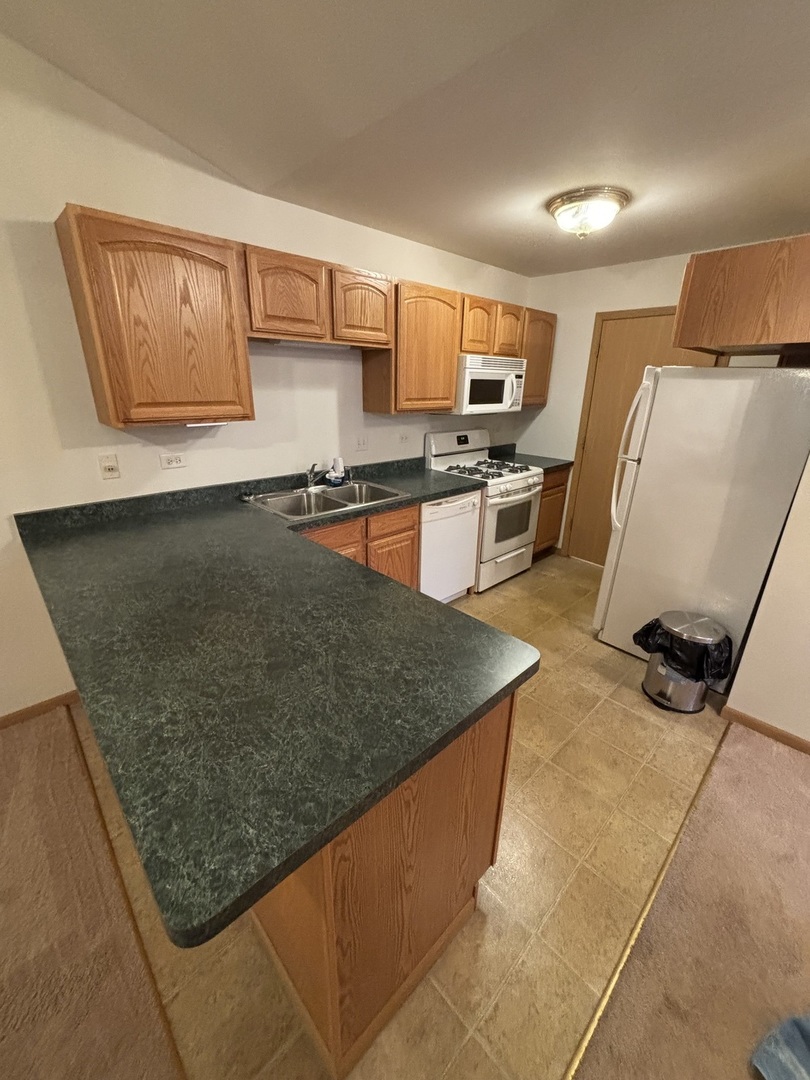 5837 Fieldstone Trail McHenry, IL 60050 - Photo 8 of 27