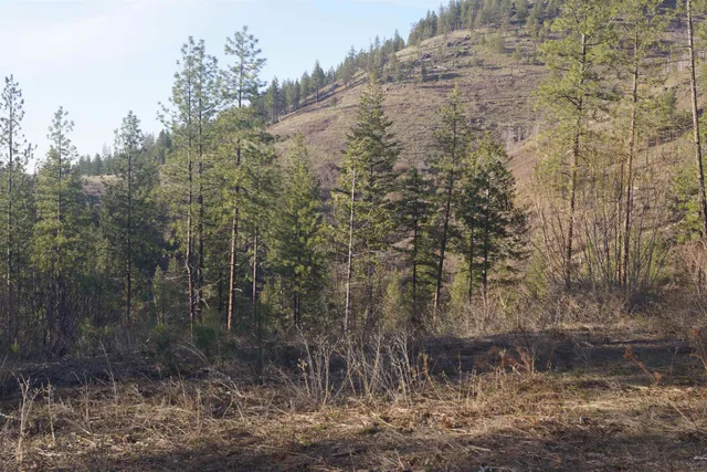 $380,000 | Nka Coyote Canyon Road, Fruitland, WA 99129