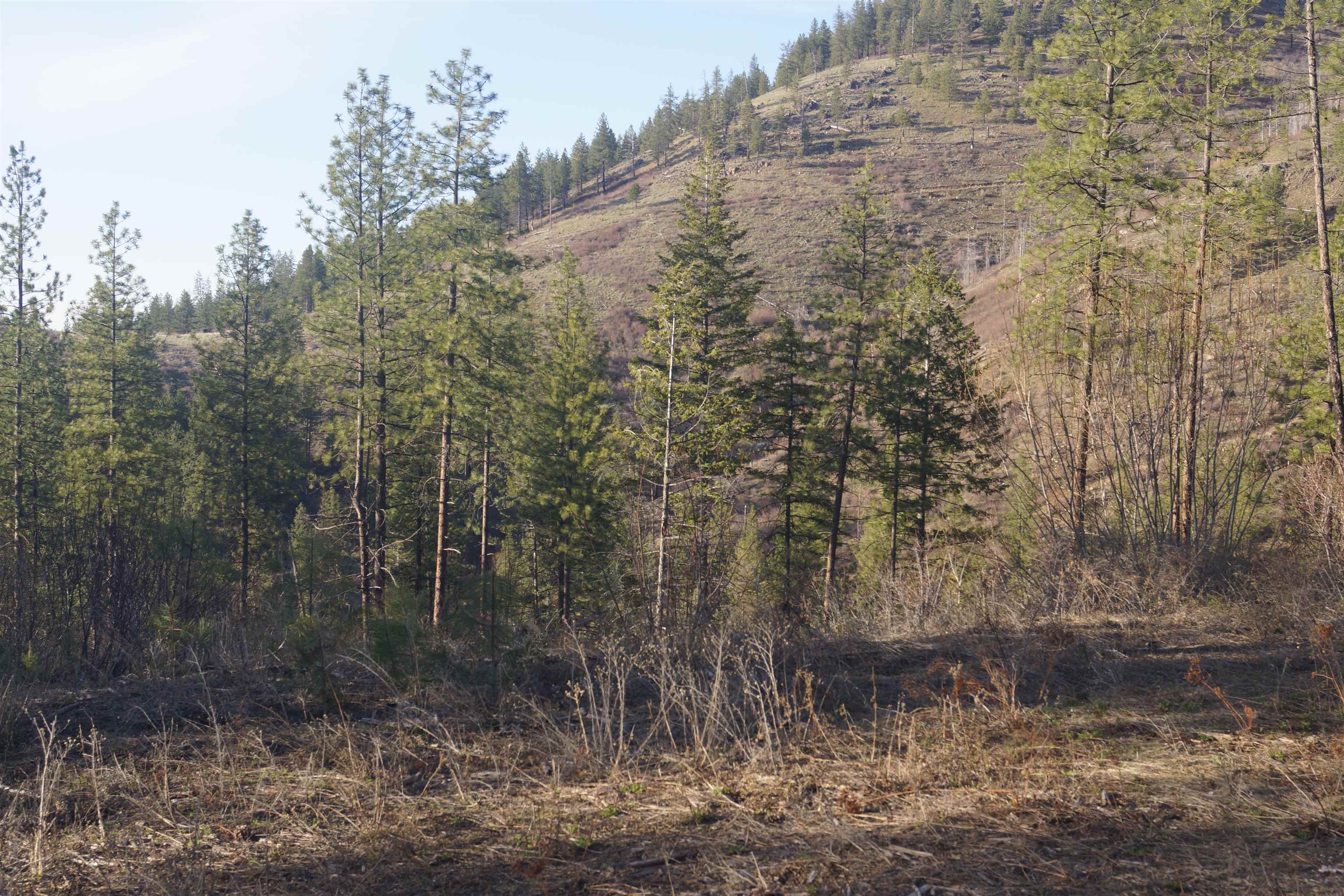 Nka Coyote Canyon Road Fruitland, WA 99129 - Photo 1 of 31