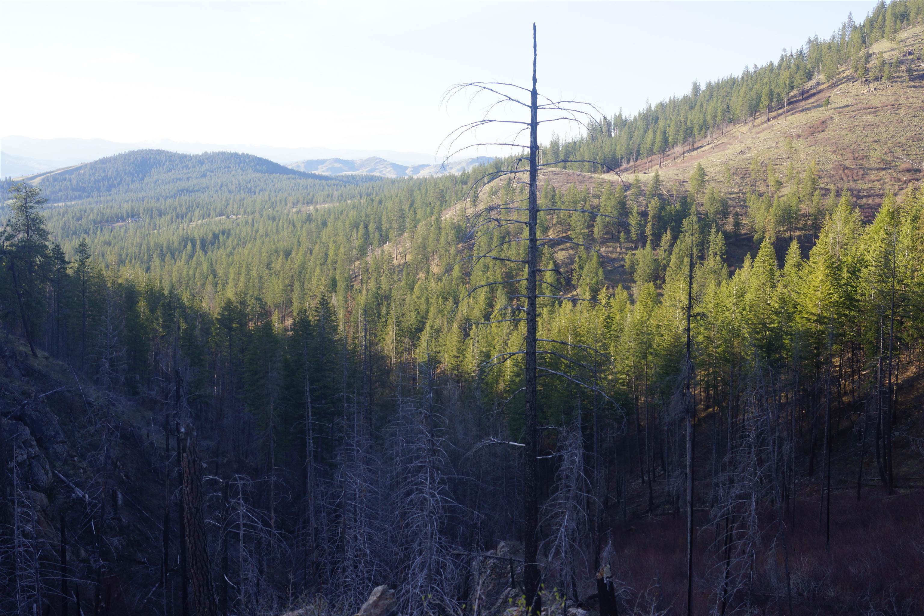Nka Coyote Canyon Road Fruitland, WA 99129 - Photo 11 of 31