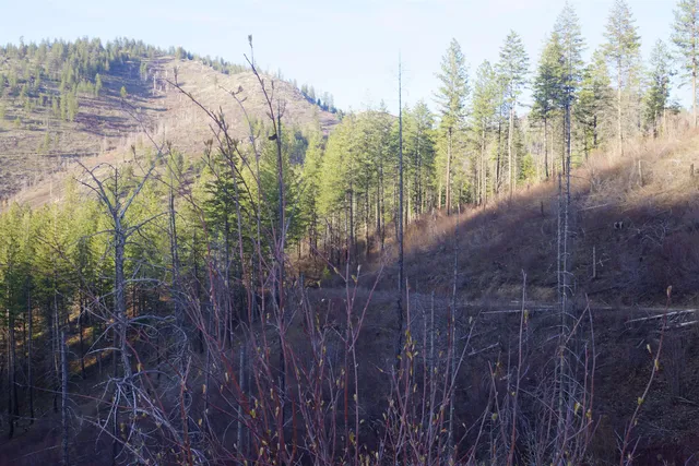 $380,000 | Nka Coyote Canyon Road, Fruitland, WA 99129