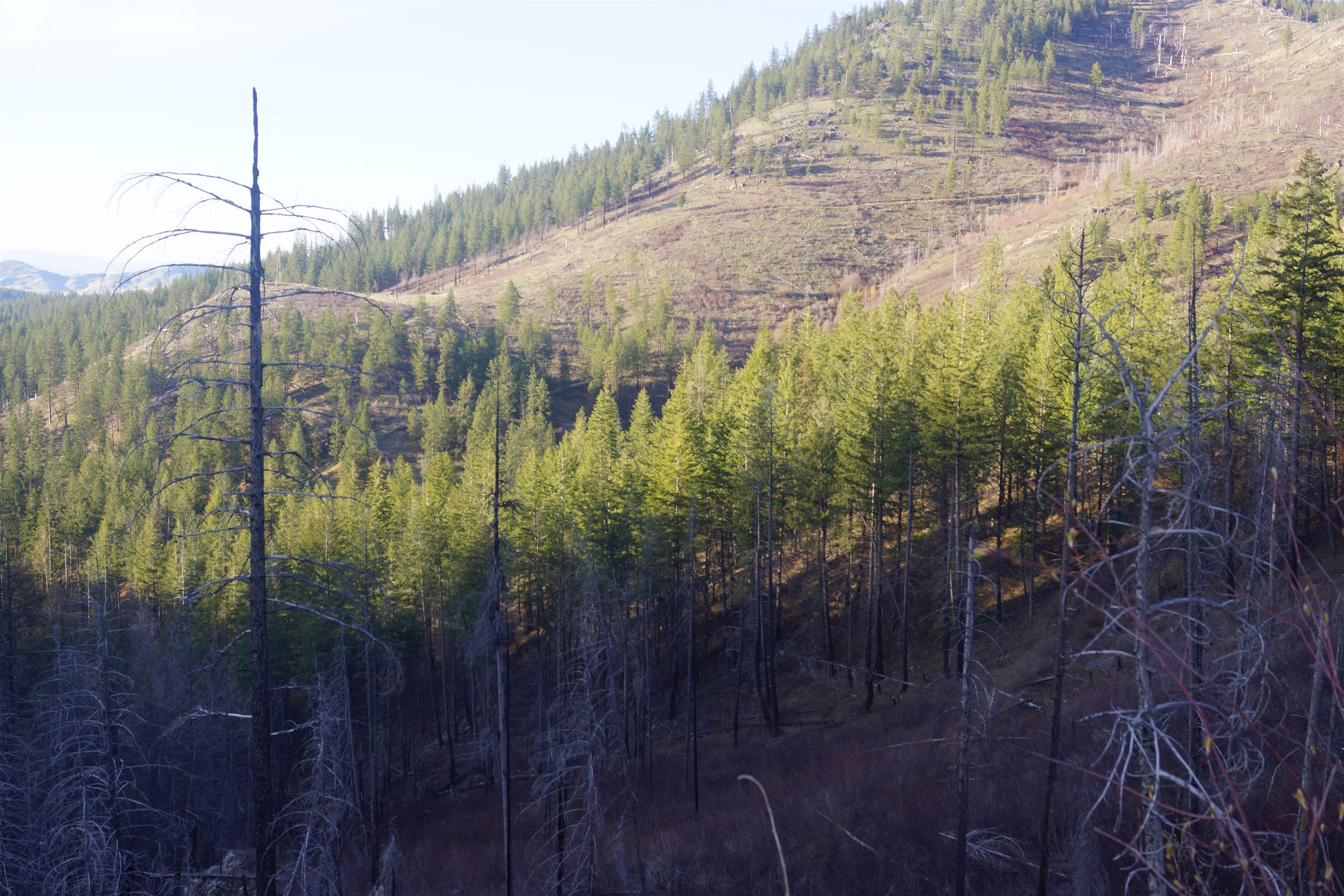 Nka Coyote Canyon Road Fruitland, WA 99129 - Photo 13 of 31