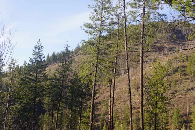 $380,000 | Nka Coyote Canyon Road, Fruitland, WA 99129