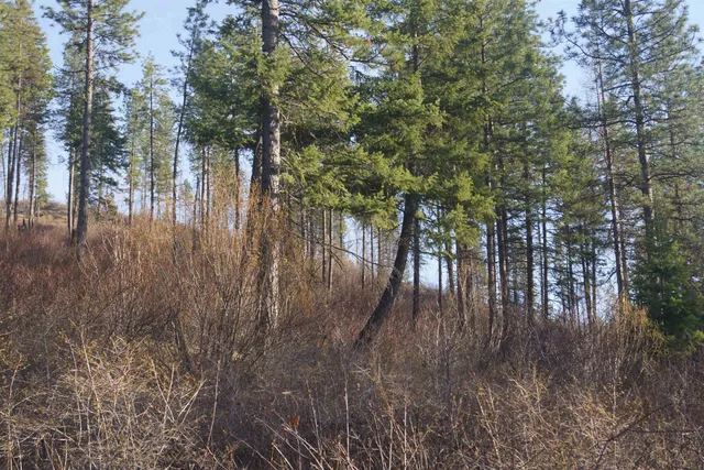 $380,000 | Nka Coyote Canyon Road, Fruitland, WA 99129