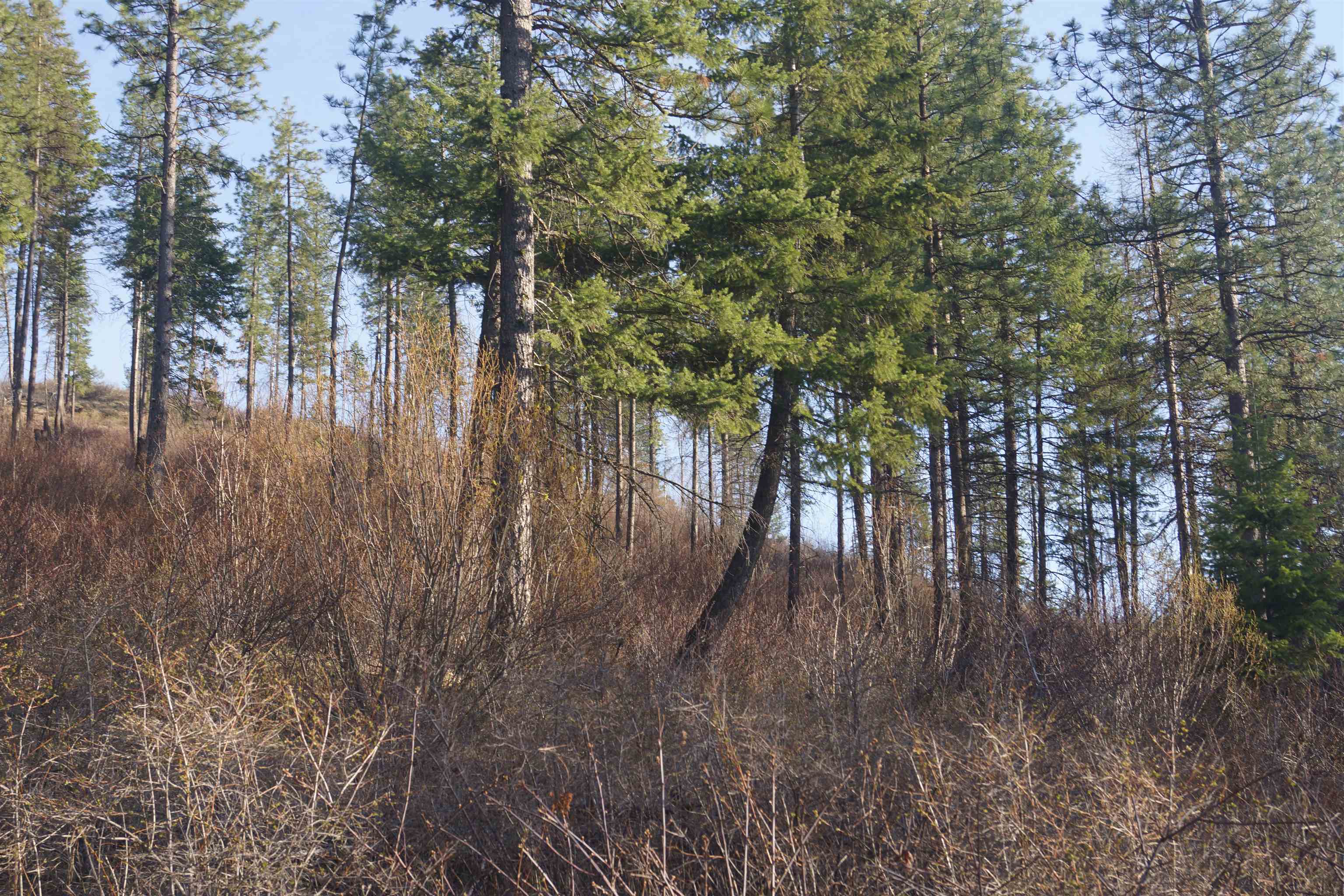 Nka Coyote Canyon Road Fruitland, WA 99129 - Photo 15 of 31