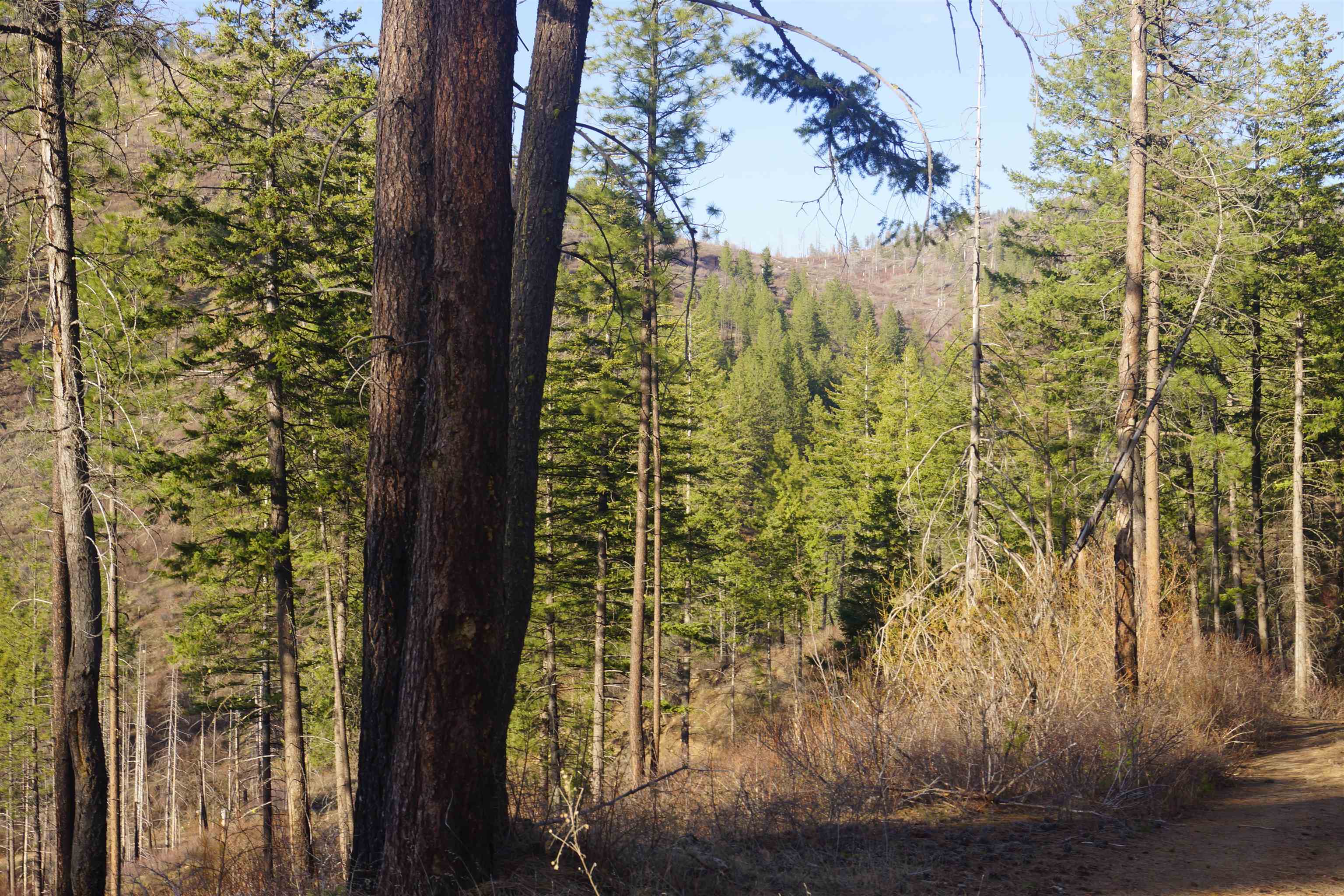 Nka Coyote Canyon Road Fruitland, WA 99129 - Photo 16 of 31