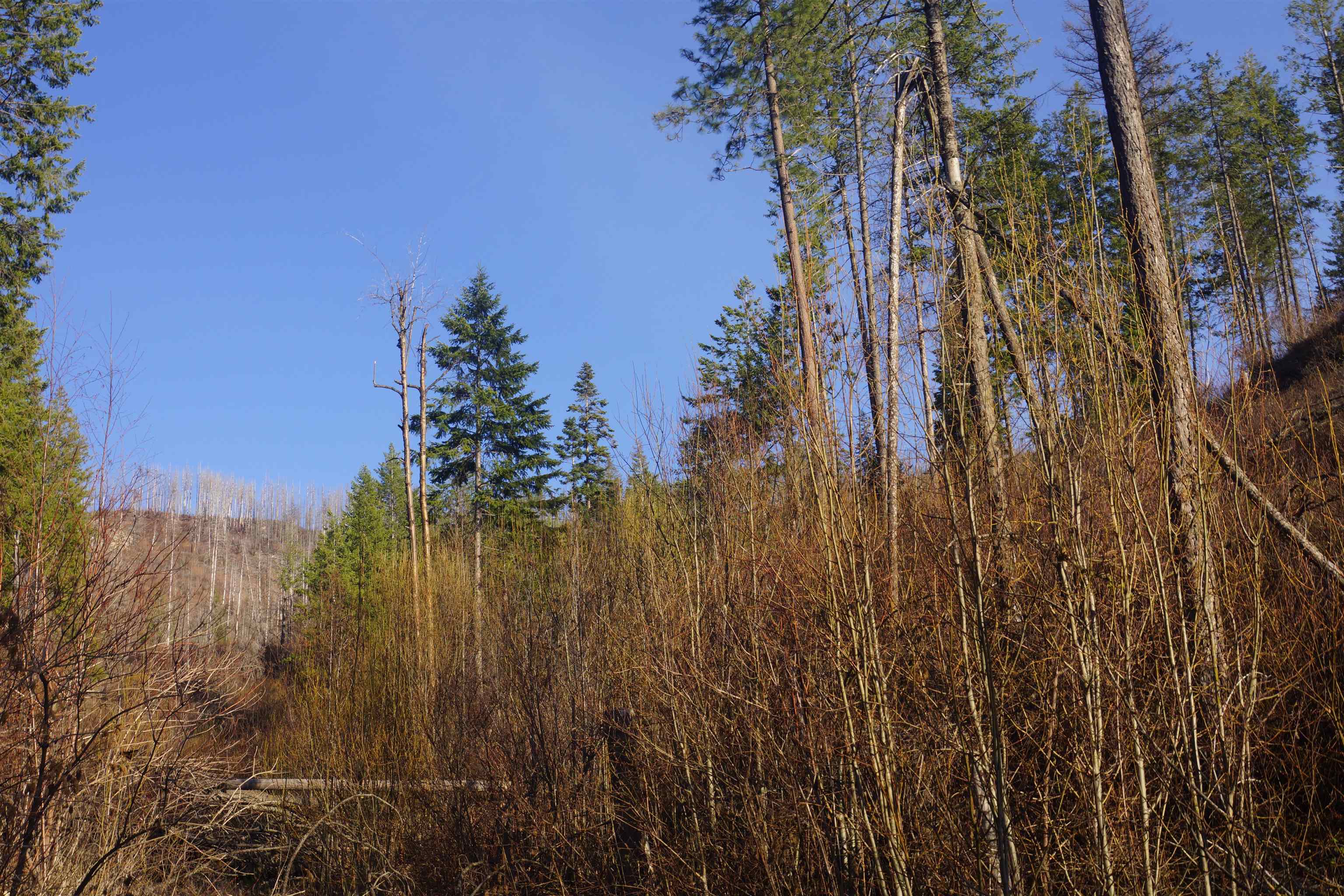 Nka Coyote Canyon Road Fruitland, WA 99129 - Photo 17 of 31