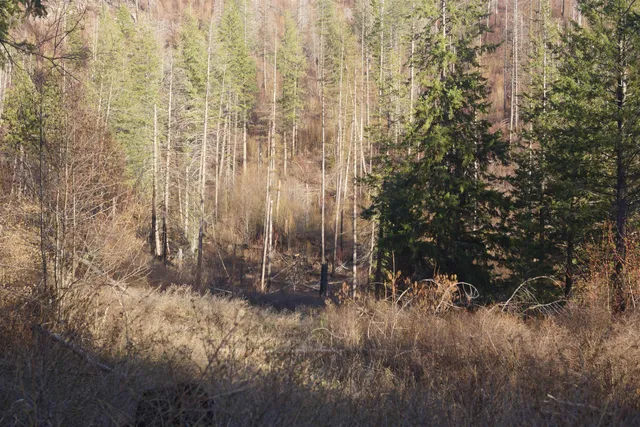 $380,000 | Nka Coyote Canyon Road, Fruitland, WA 99129