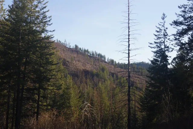 $380,000 | Nka Coyote Canyon Road, Fruitland, WA 99129