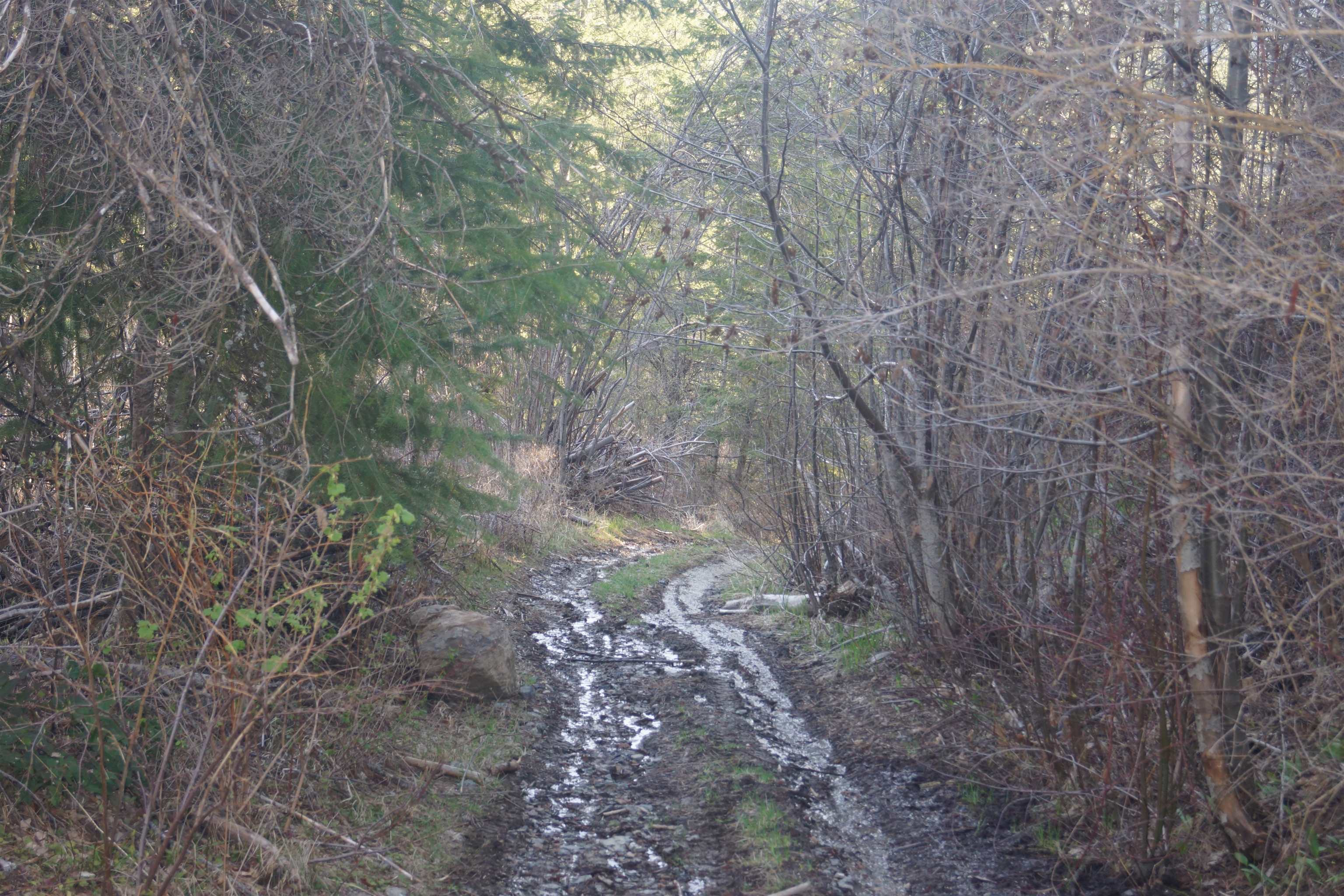 Nka Coyote Canyon Road Fruitland, WA 99129 - Photo 20 of 31