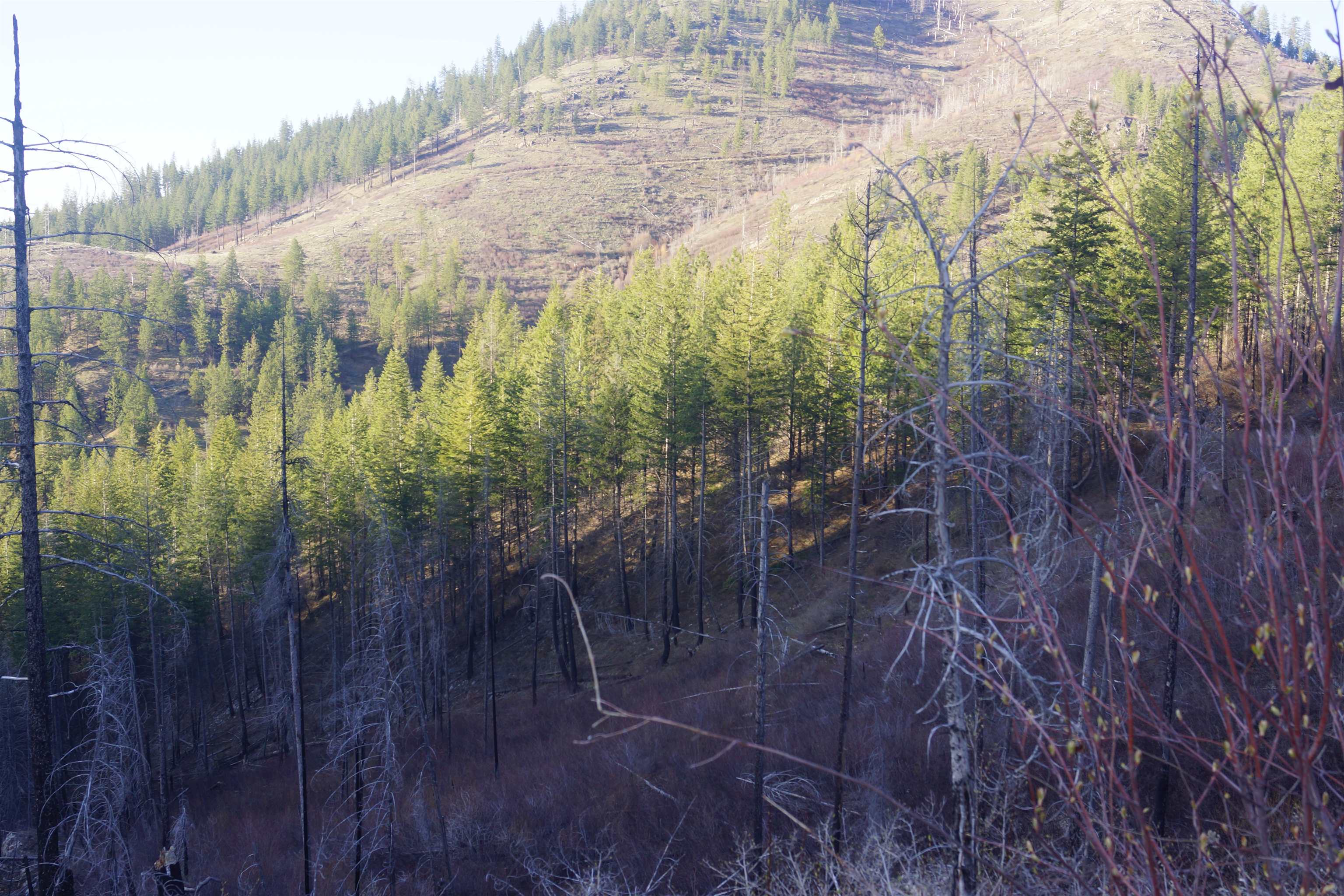 Nka Coyote Canyon Road Fruitland, WA 99129 - Photo 2 of 31