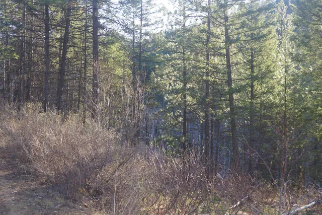 $380,000 | Nka Coyote Canyon Road, Fruitland, WA 99129