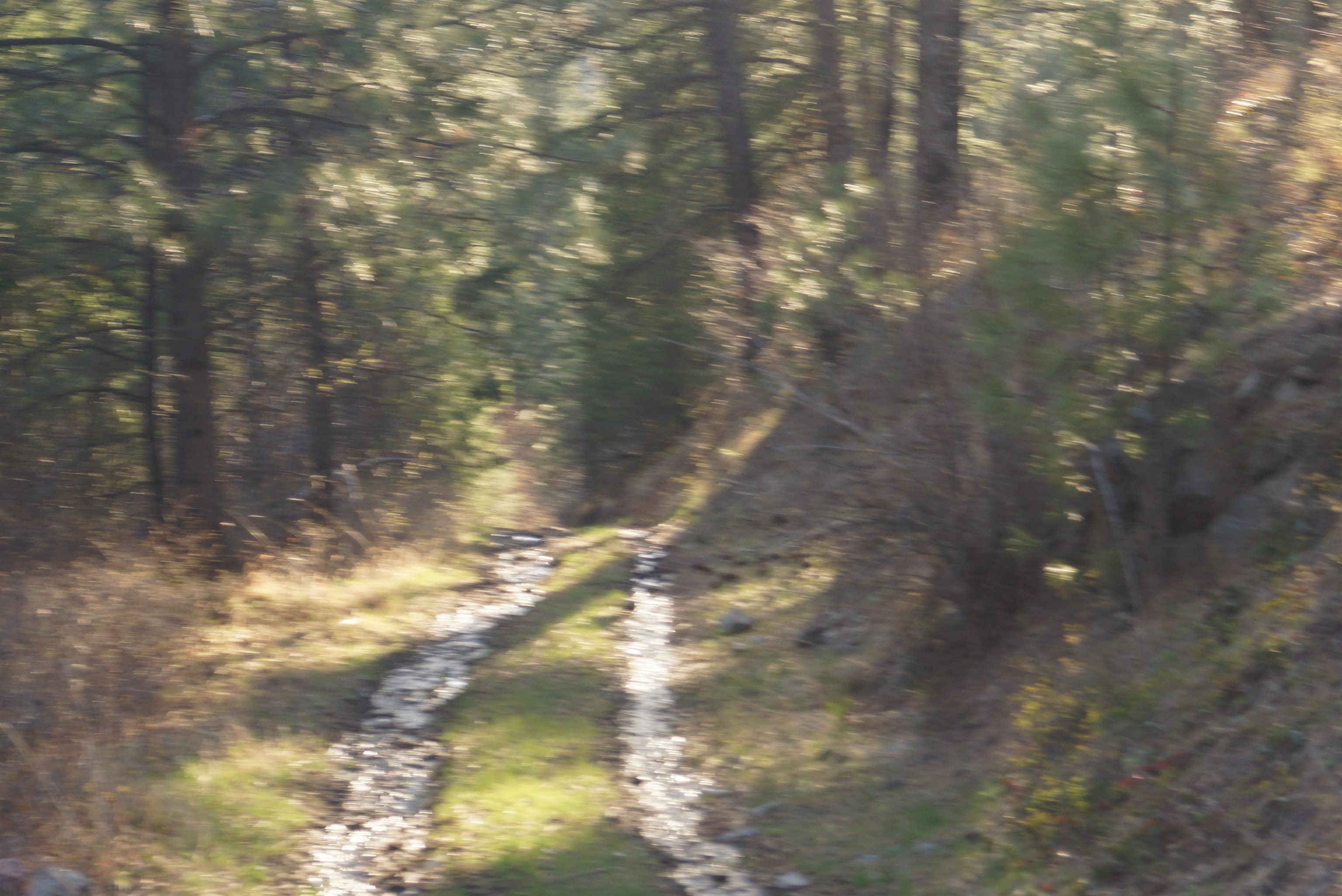 Nka Coyote Canyon Road Fruitland, WA 99129 - Photo 5 of 31