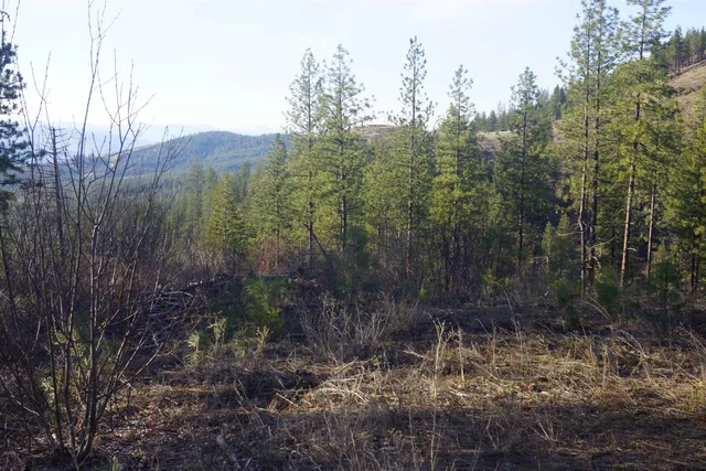 $380,000 | Nka Coyote Canyon Road, Fruitland, WA 99129