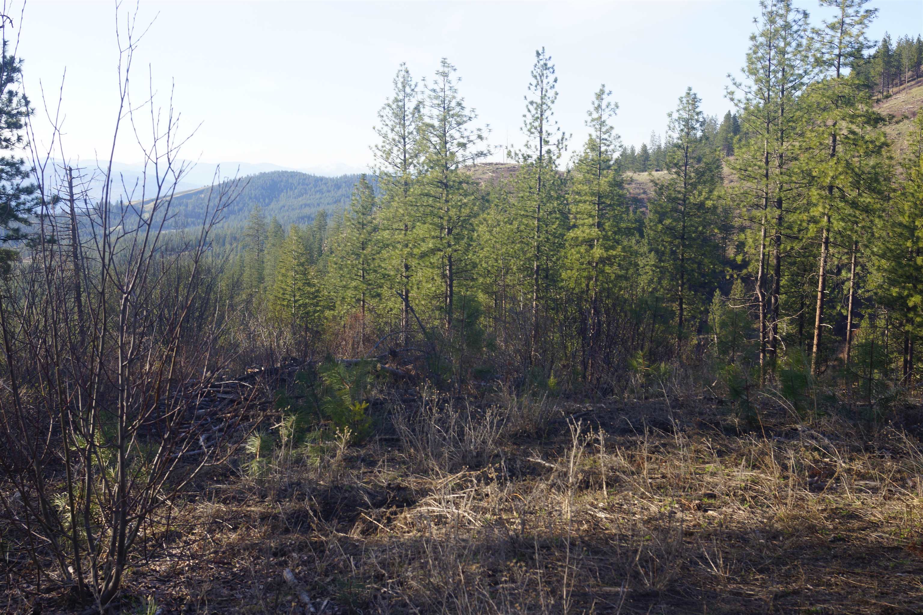 Nka Coyote Canyon Road Fruitland, WA 99129 - Photo 6 of 31