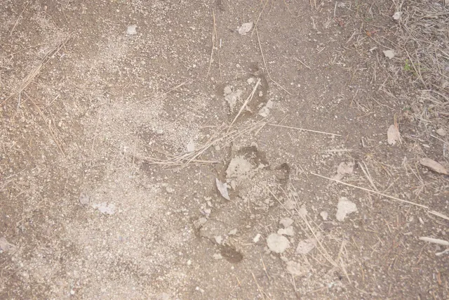 $380,000 | Nka Coyote Canyon Road, Fruitland, WA 99129