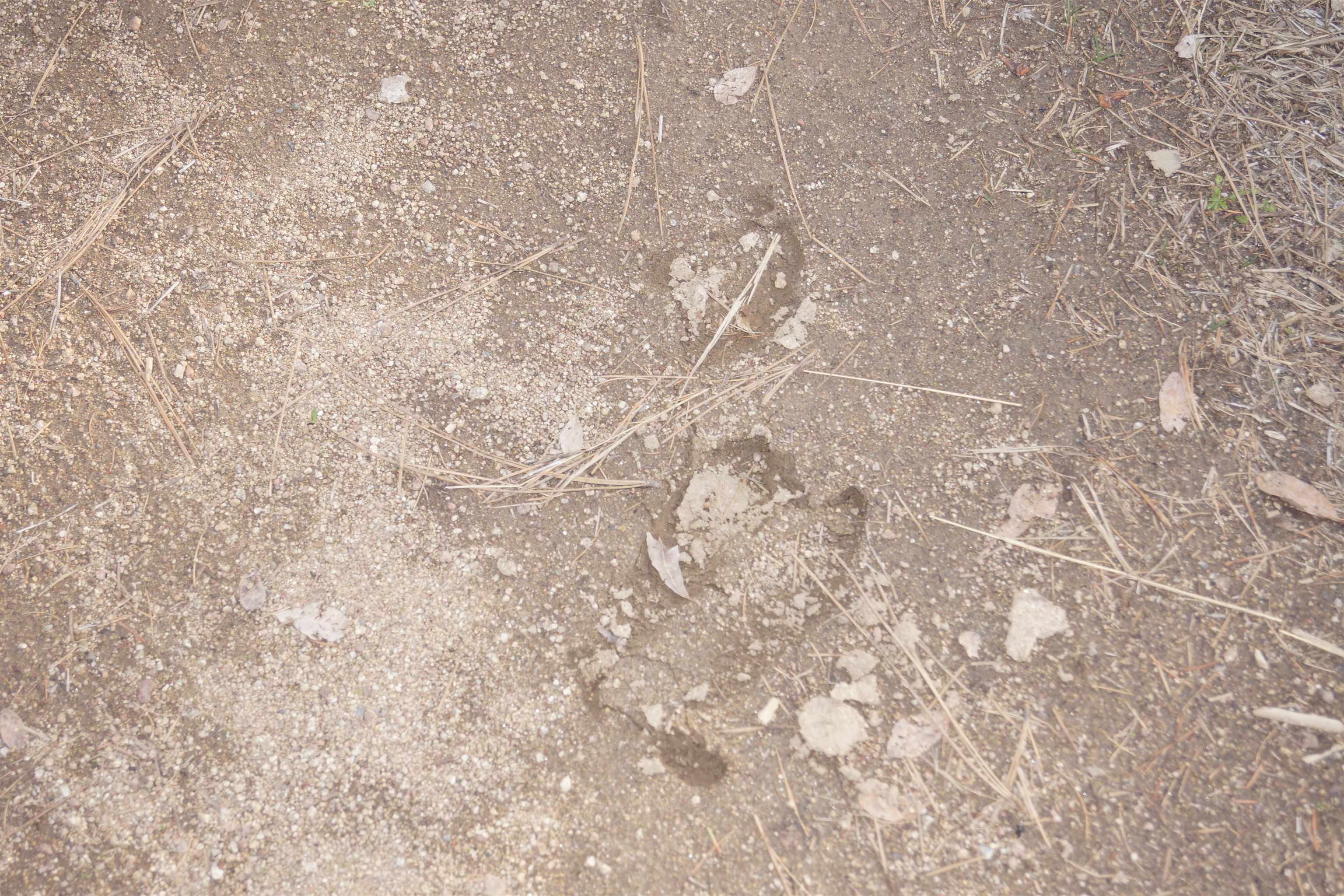 Nka Coyote Canyon Road Fruitland, WA 99129 - Photo 7 of 31