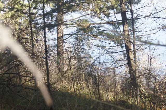 $380,000 | Nka Coyote Canyon Road, Fruitland, WA 99129