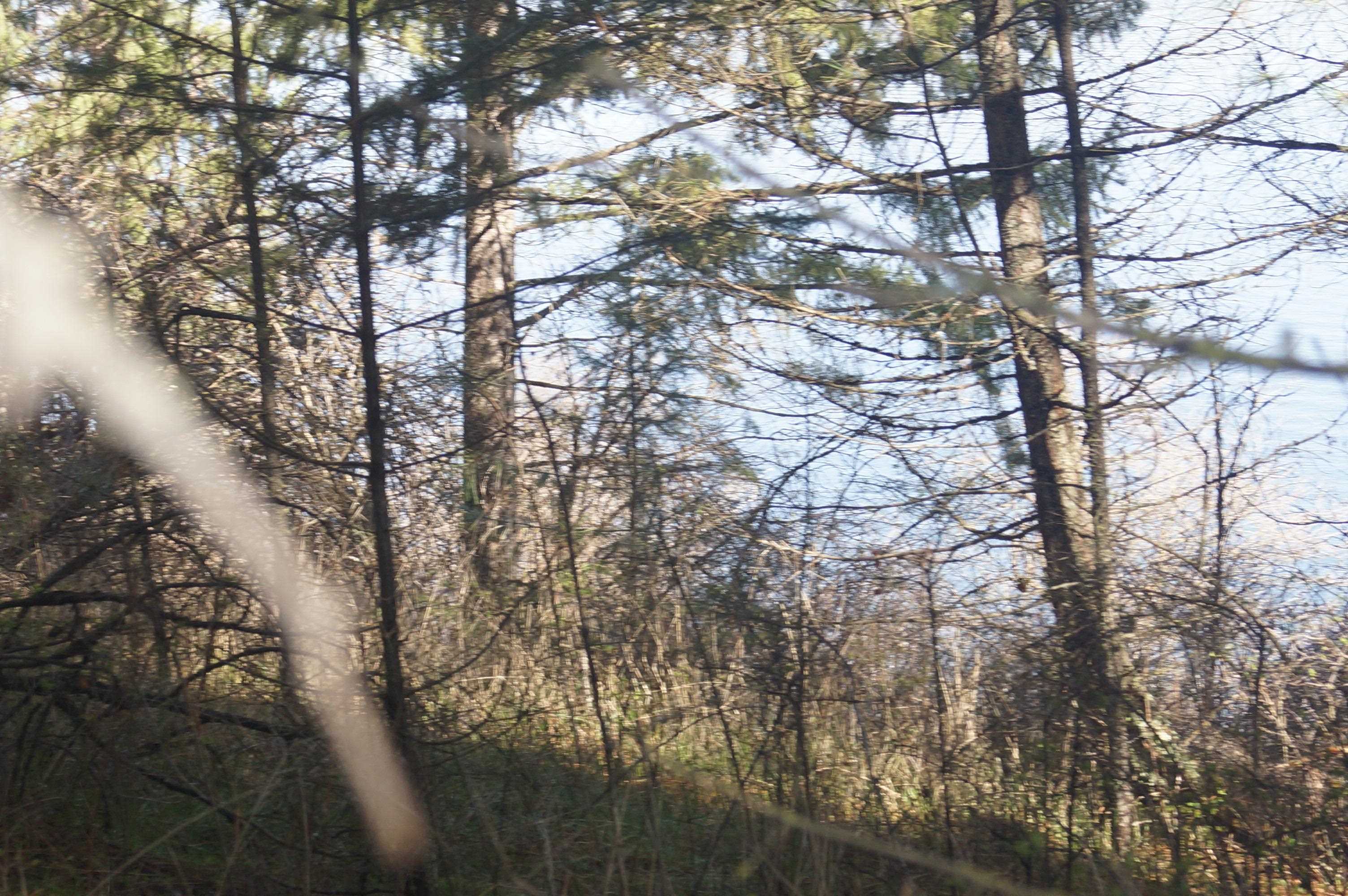 Nka Coyote Canyon Road Fruitland, WA 99129 - Photo 8 of 31