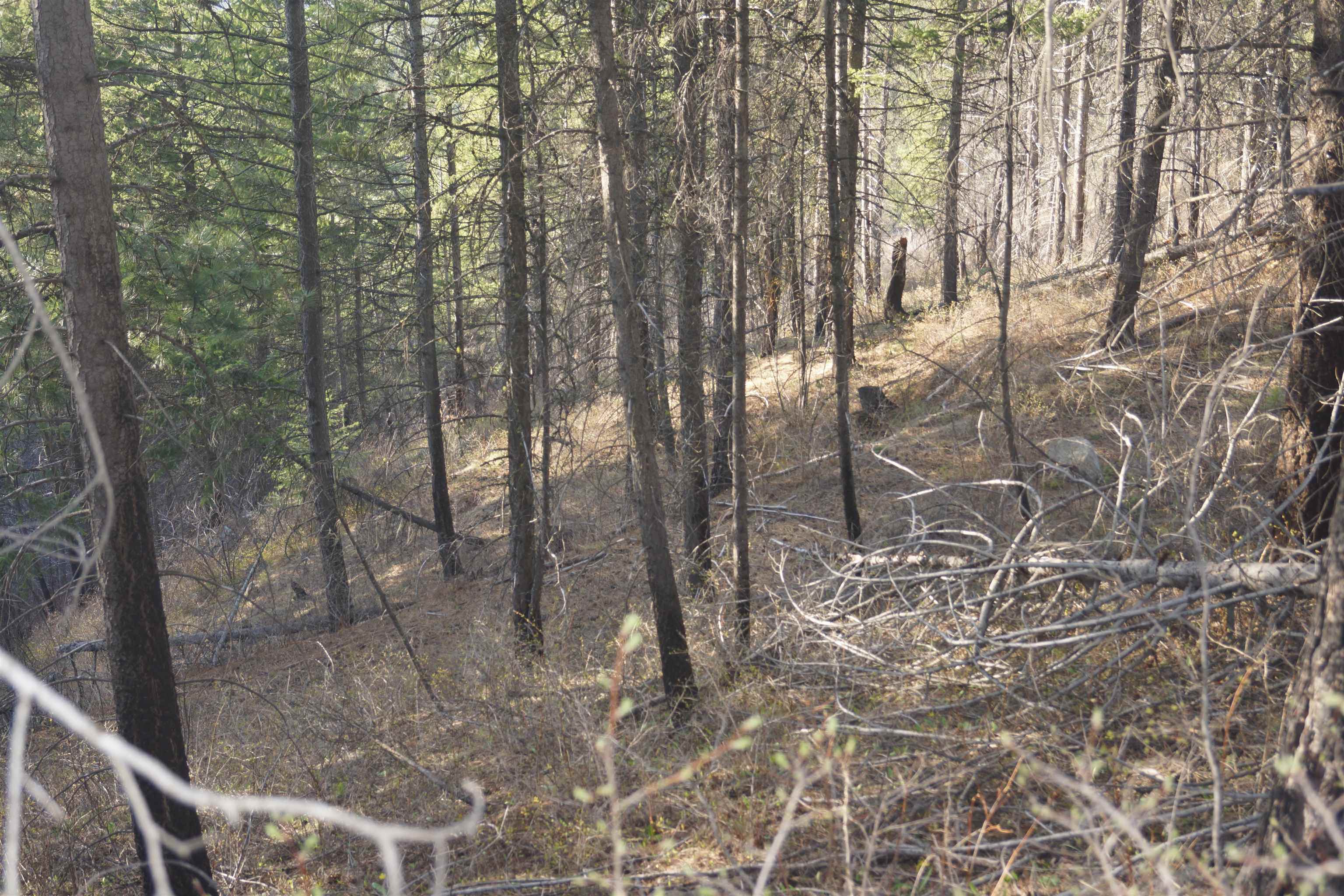 Nka Coyote Canyon Road Fruitland, WA 99129 - Photo 9 of 31