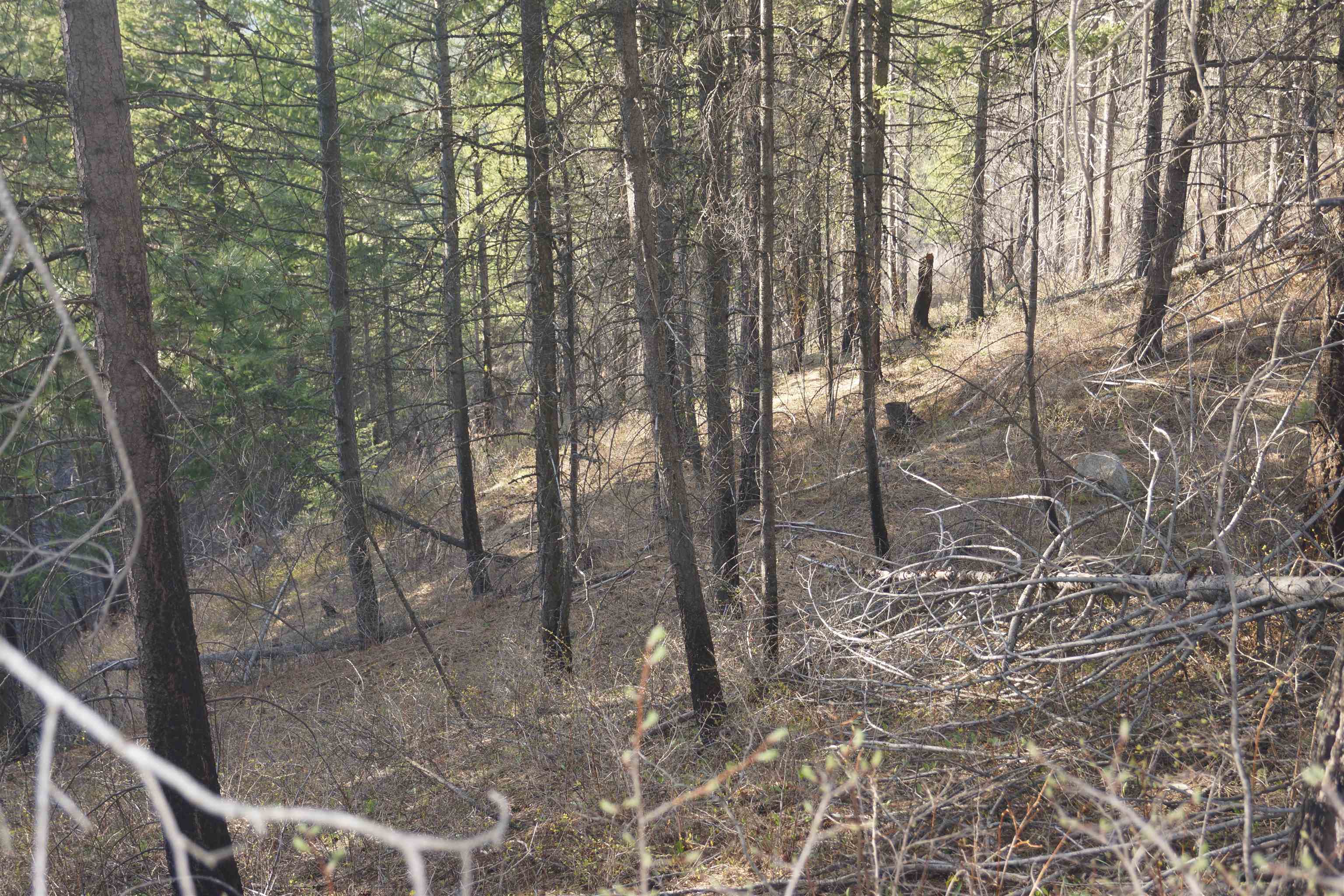 Nka Coyote Canyon Road Fruitland, WA 99129 - Photo 10 of 31