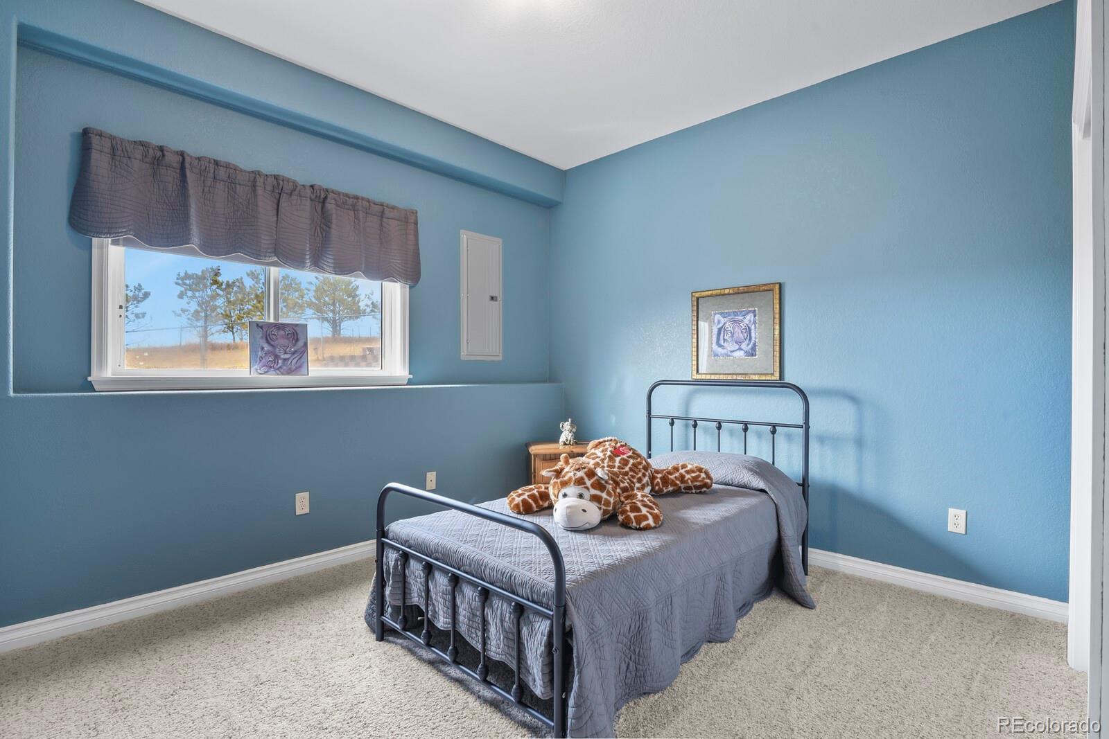 26846 Richards Circle Elbert, CO 80106 - Photo 19 of 44