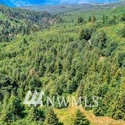 721 Greenwood Road Kalama, WA 98625 - Photo 5 of 7 Gallery Image 5