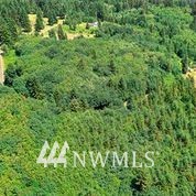 721 Greenwood Road Kalama, WA 98625 - Photo 7 of 7 Gallery Image 7