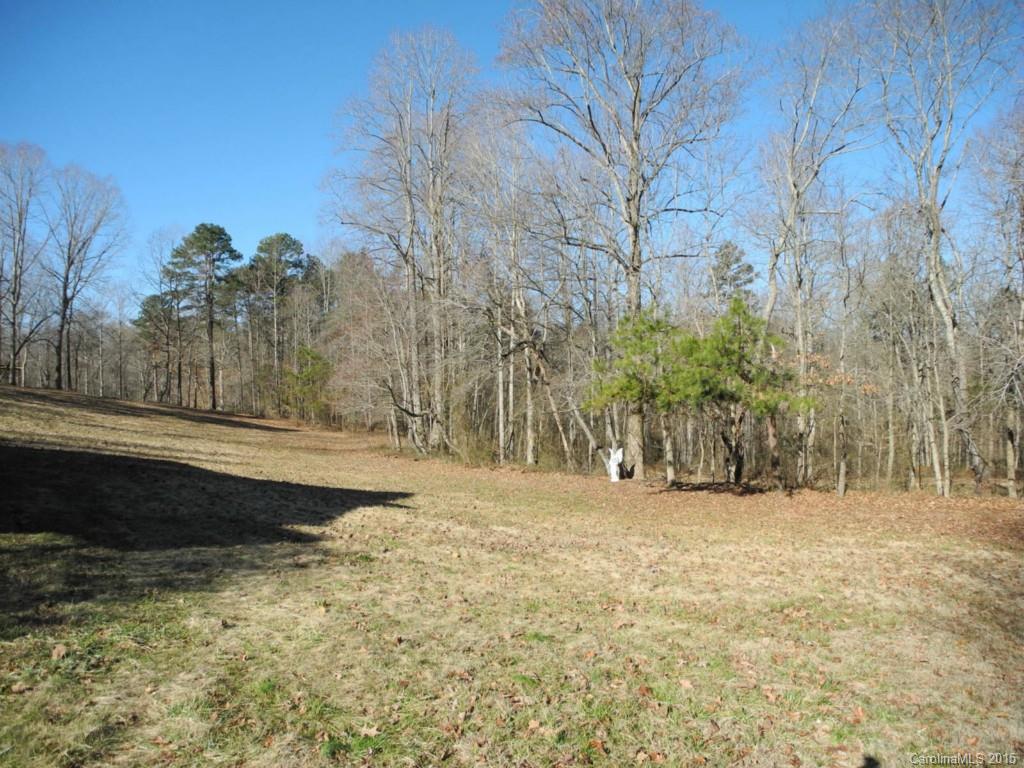 7330 Dan Rhyne Road Vale, NC 28168 - Photo 3 of 24