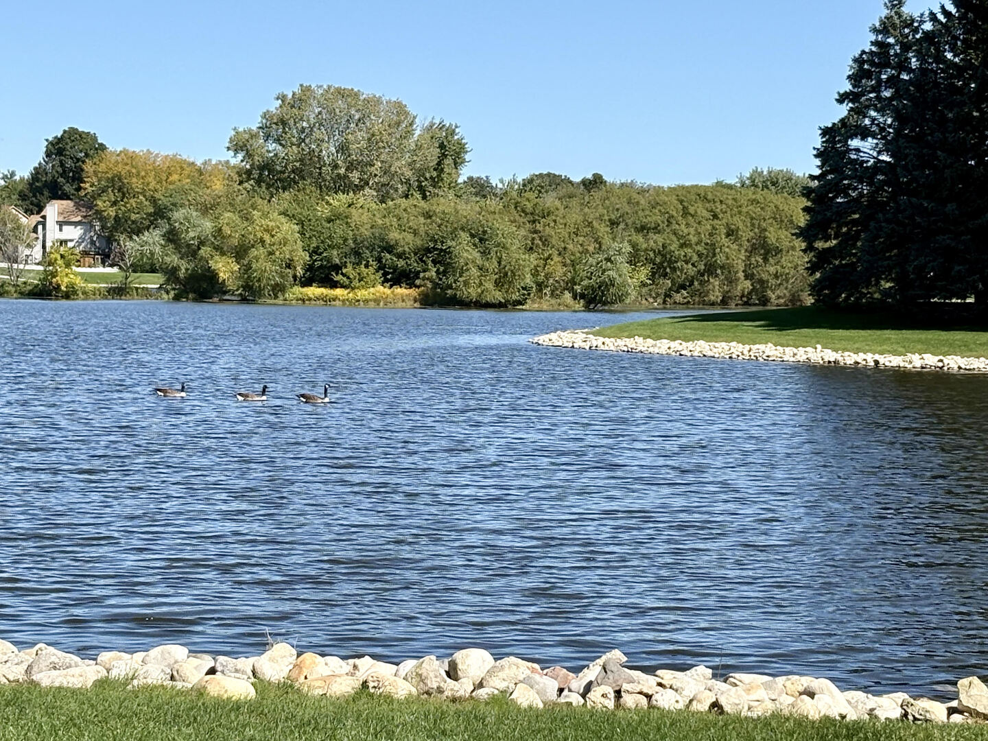 730 Ripple Brook Lane Elgin, IL 60120 - Photo 17 of 19 Gallery Image 17