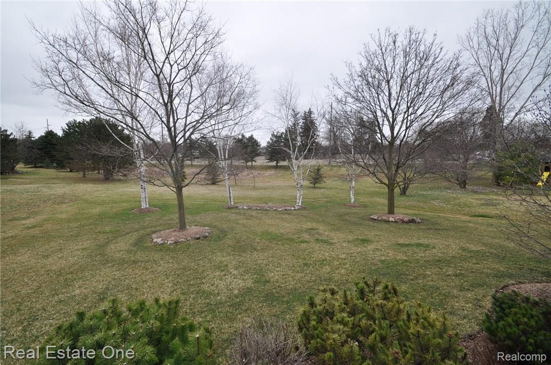 1066 Grandview Drive Rochester, MI 48306 - Photo 29 of 30 29.JPG