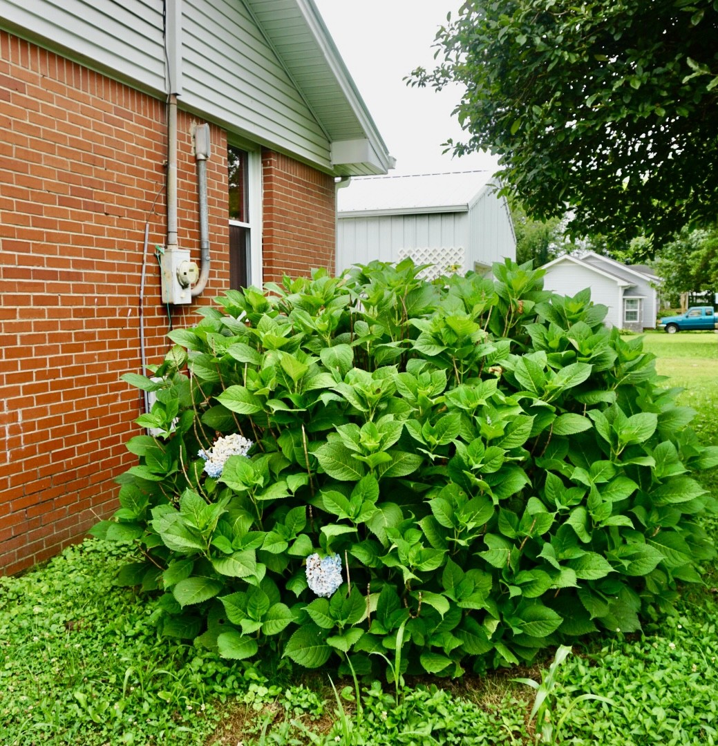 2464 Red Boiling Springs Road Lafayette, TN 37083 - Photo 30 of 33