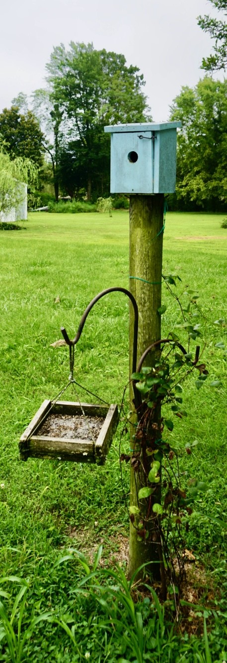 2464 Red Boiling Springs Road Lafayette, TN 37083 - Photo 33 of 33