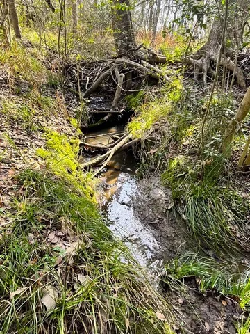 $270,000 | 9870 Pr 1115 Leona Tx 75850, Leona, TX 75850