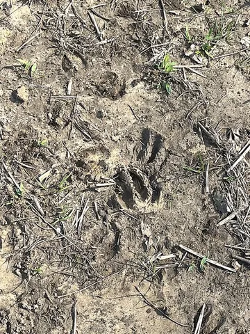 $270,000 | 9870 Pr 1115 Leona Tx 75850, Leona, TX 75850