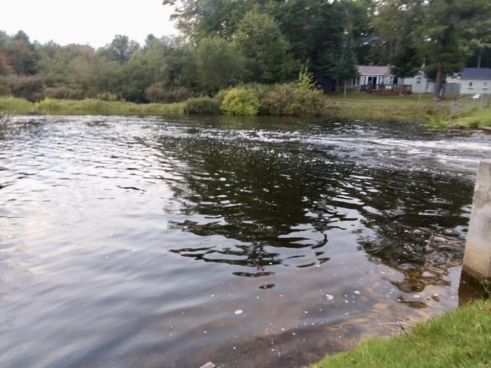 7418 Riverside Drive St. Helen, MI 48656 - Photo 11 of 21