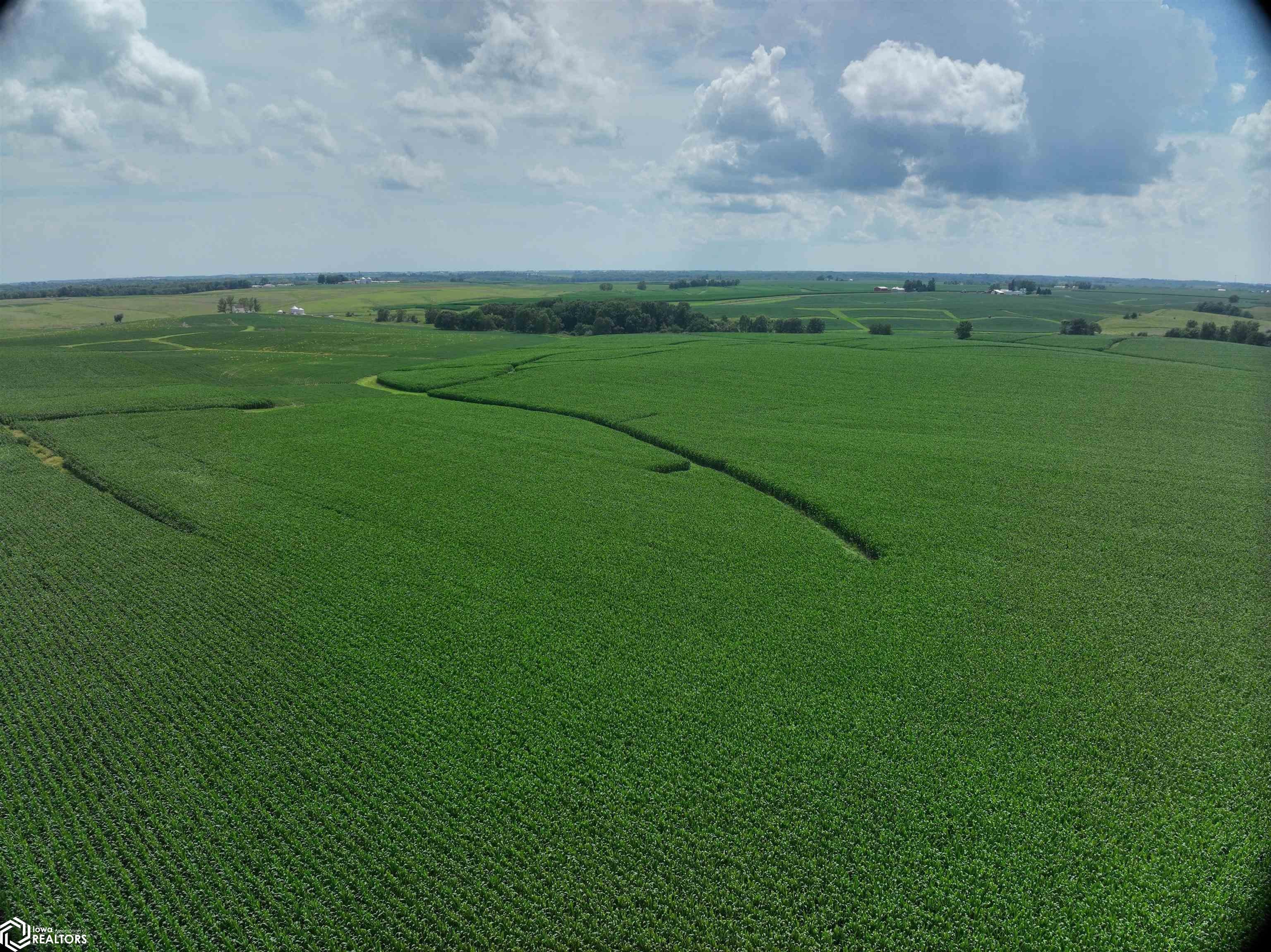 County Line Road Ainsworth, IA 52201 - Photo 26 of 35 Gallery Image 26