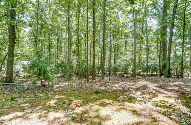 $254,000 | 483 Sweetgum Drive, Fort Mill, SC 29715