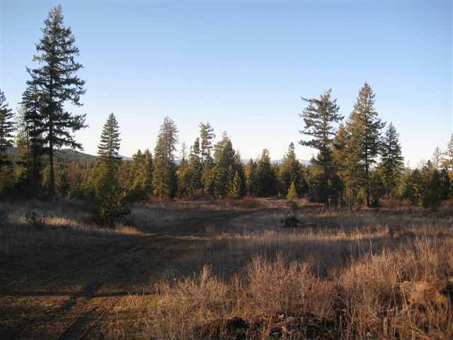 3 East Antler Road Chattaroy, WA 99003 - Photo 3 of 9 Gallery Image 3